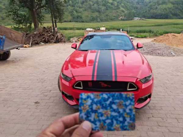 20긣ҰMustang