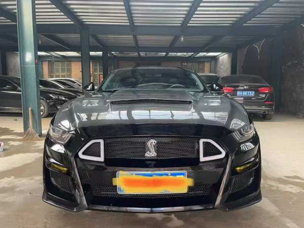 19긣ҰMustang