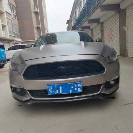 21긣ҰMustang