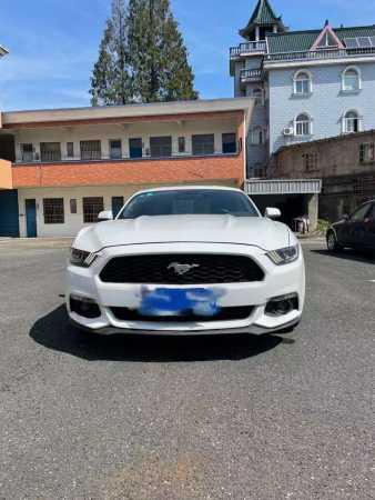 19긣ҰMustang