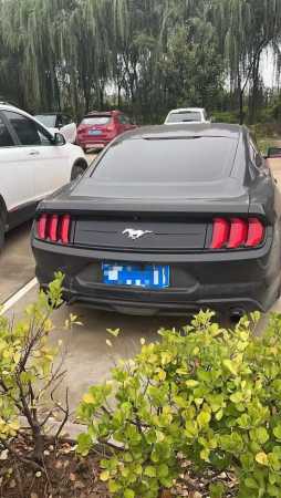 20긣ҰMustang