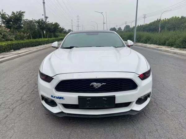 20긣ҰMustang
