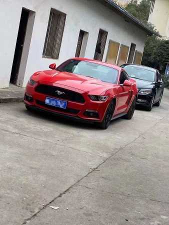人22긣ҰMustang