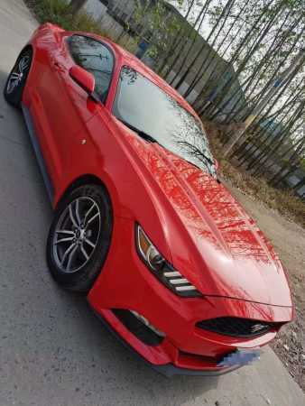 22긣ҰMustang