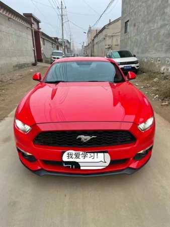 ʯׯ22긣ҰMustang