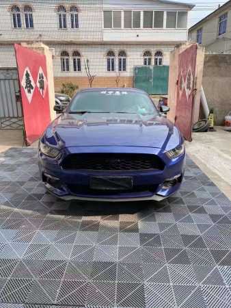 19긣ҰMustang