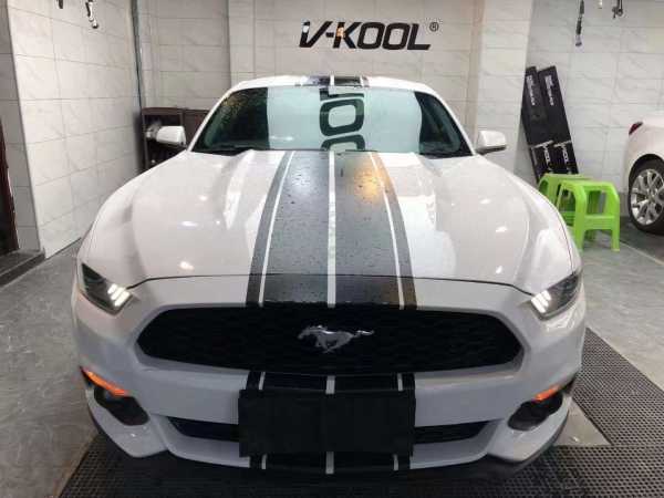 20긣ҰMustang