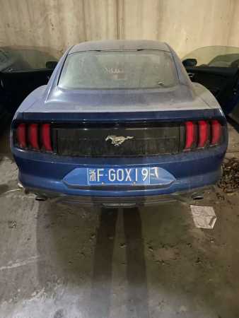 22긣ҰMustang