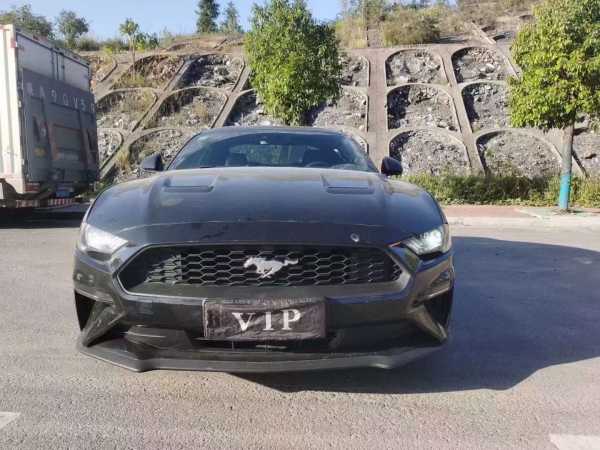 ʯׯ22긣ҰMustang