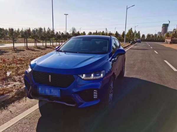 ʯׯ22곤WEY VV5