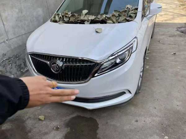 ʯׯ22GL8
