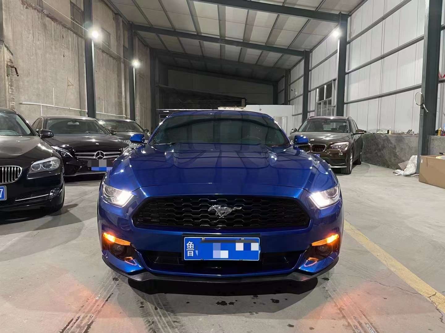 ൺ21긣ҰMustang