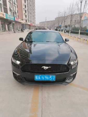 20긣ҰMustang