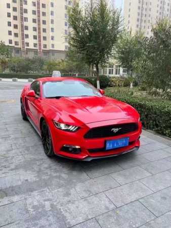 22긣ҰMustang