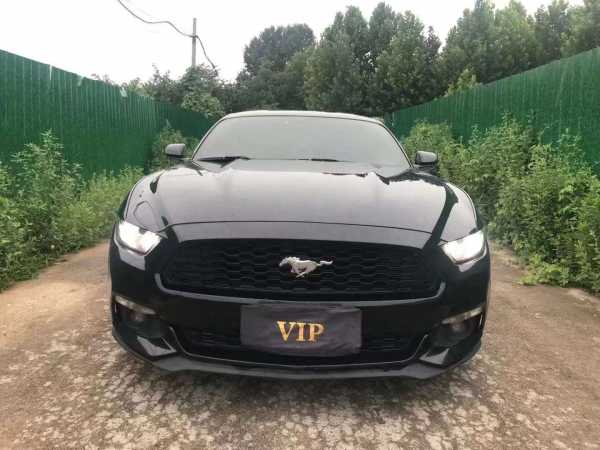 Ͳ21긣ҰMustang