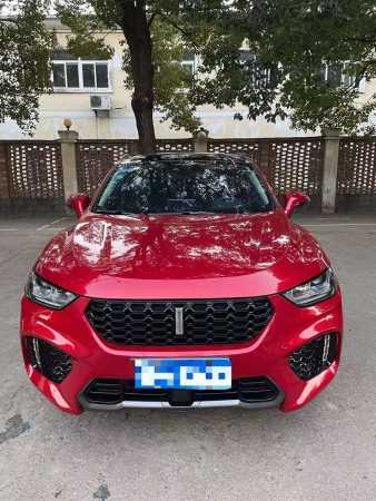 人21곤WEY VV5