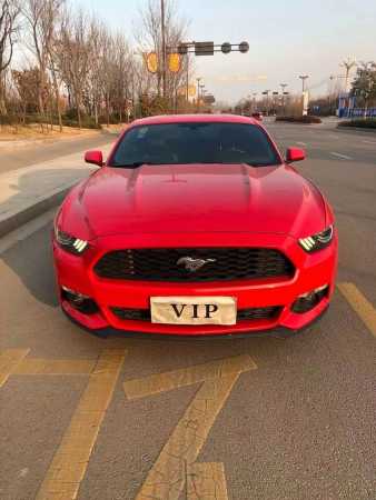 20긣ҰMustang