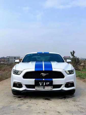 19긣ҰMustang