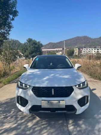 23곤WEY VV5