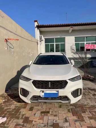 ̨22곤WEY VV7