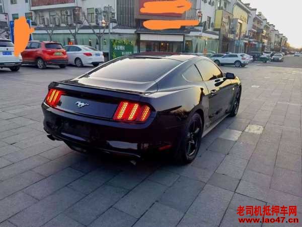 Ϋ17긣ҰMustang