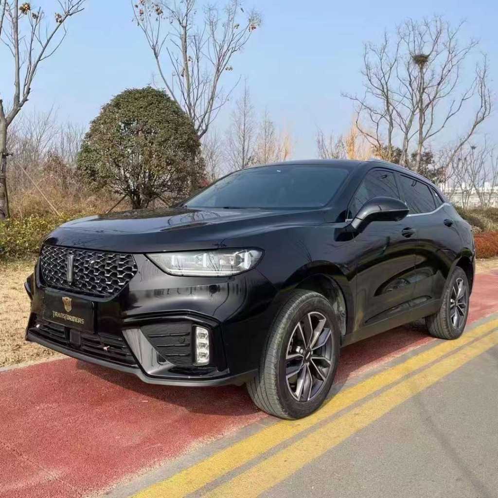 ׯ24곤WEY VV5