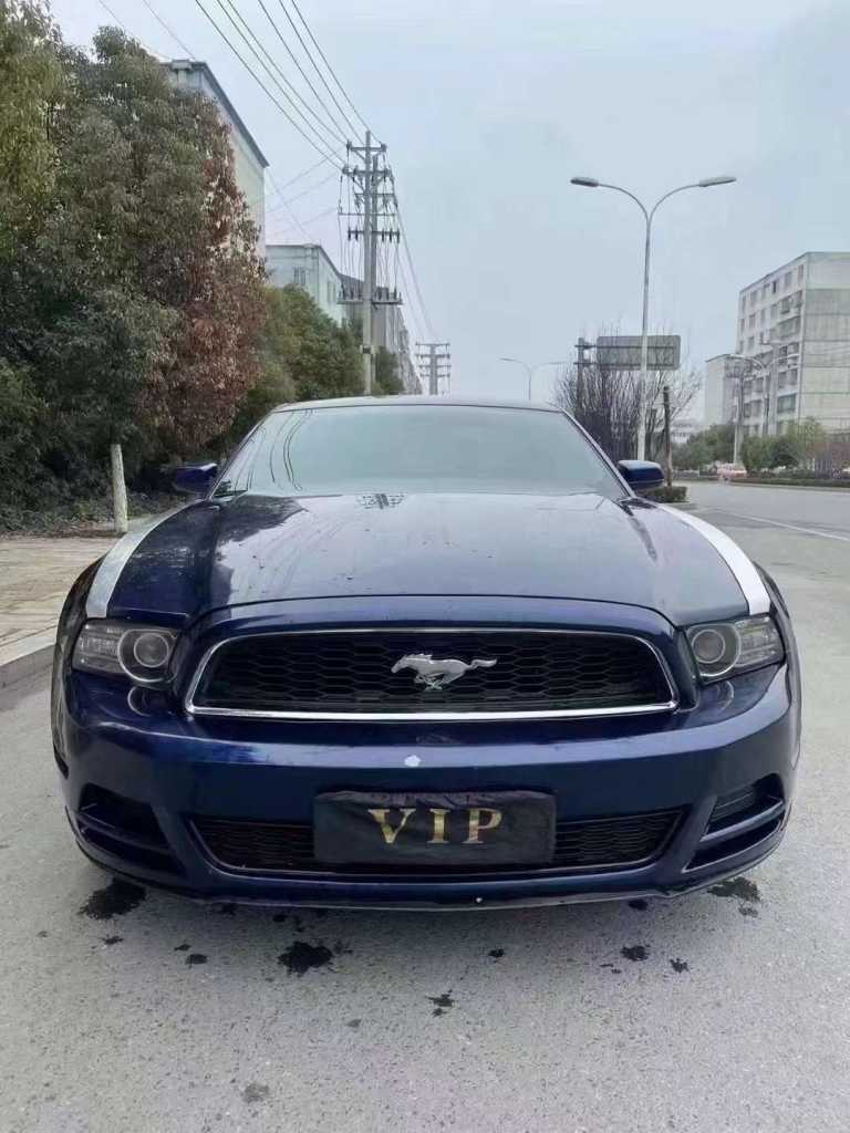 18긣ҰMustang