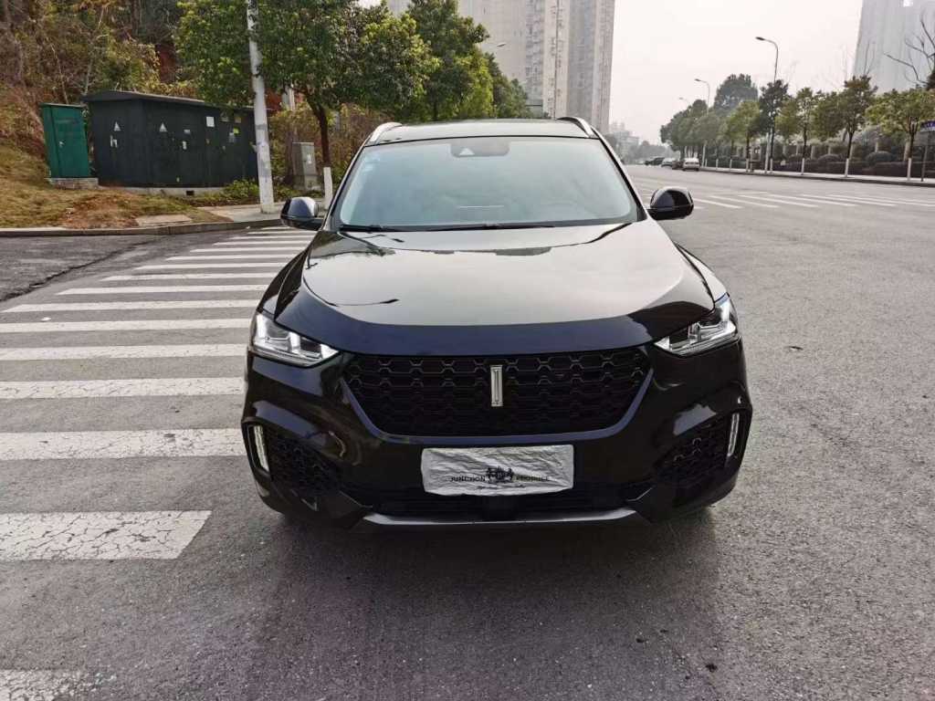 22곤WEY VV6