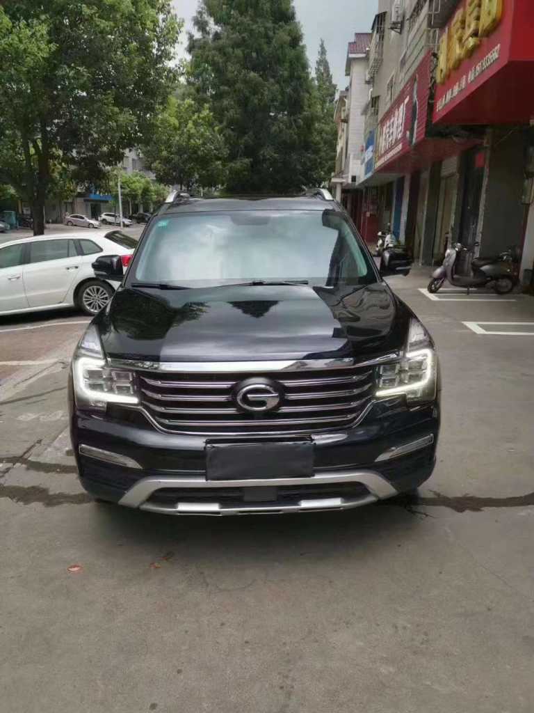 Ȫ20GS8