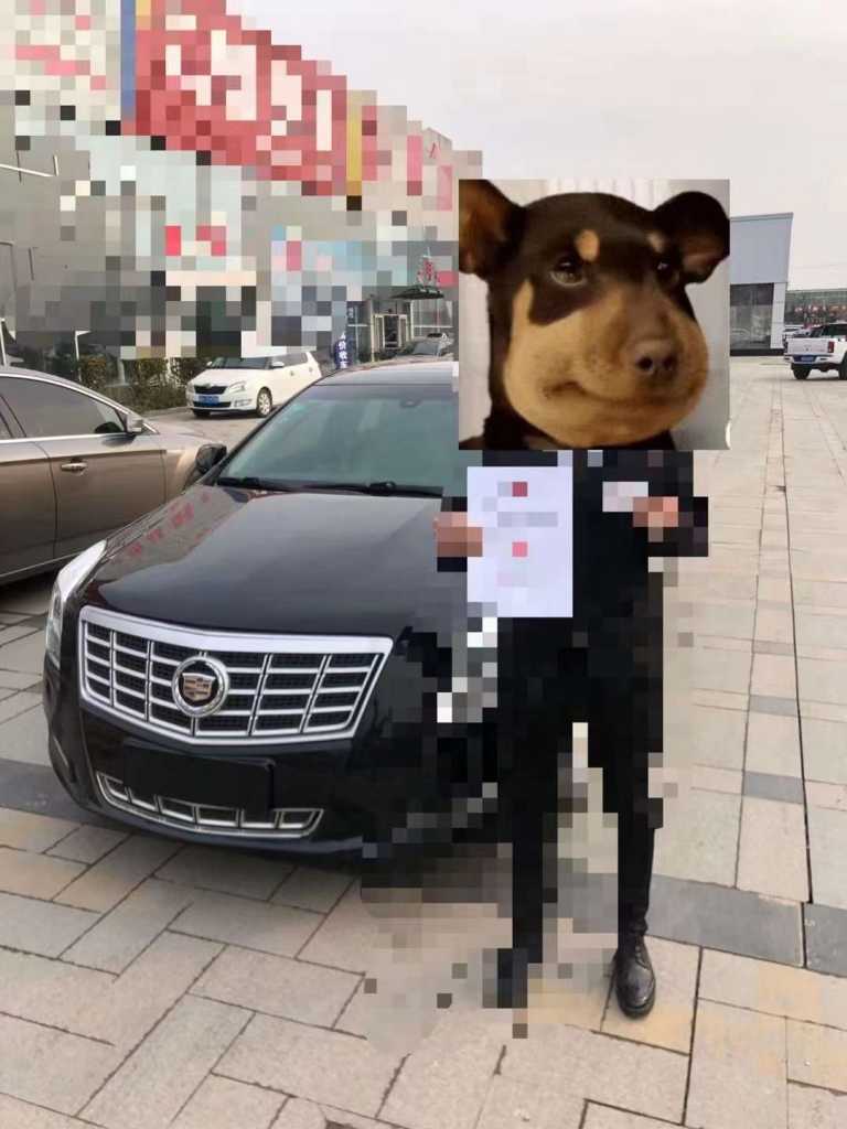 Ӫ17꿭XTS