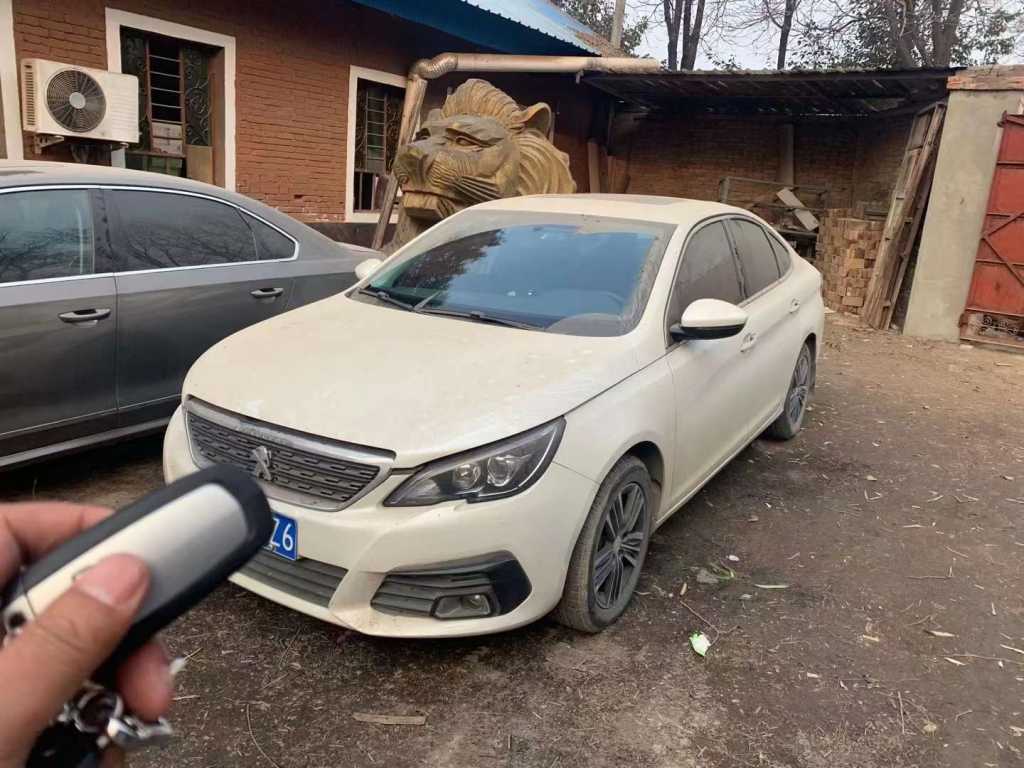20308