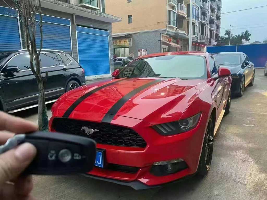 18긣ҰMustang