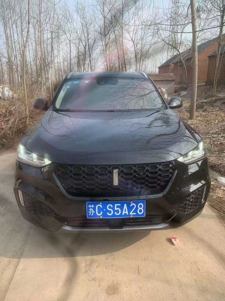 20곤WEY VV6