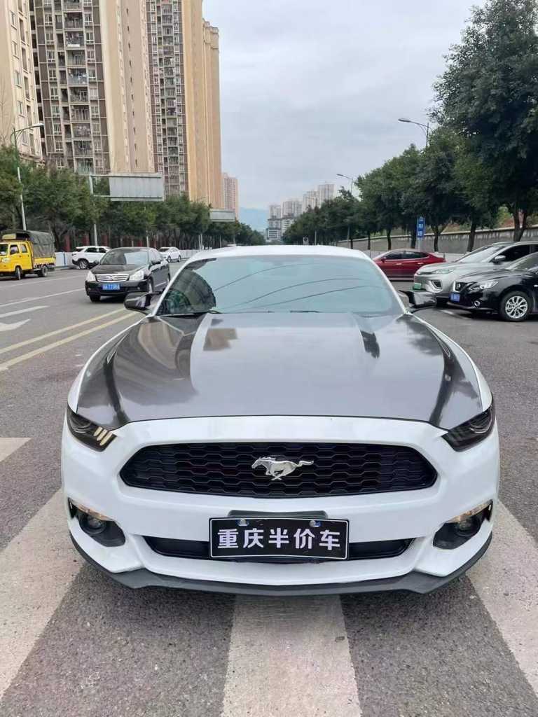 20긣ҰMustang
