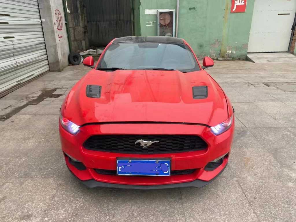 19긣ҰMustang