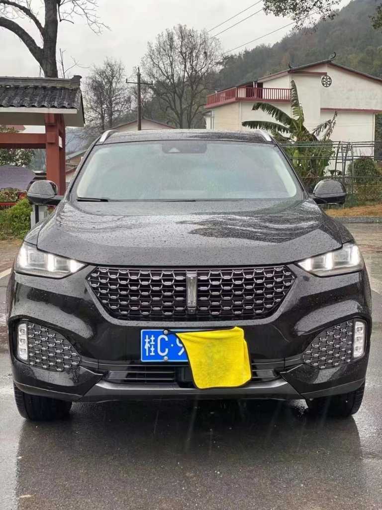 21곤WEY VV6