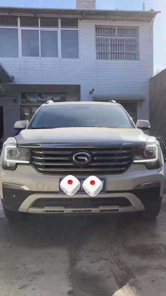 20GS8