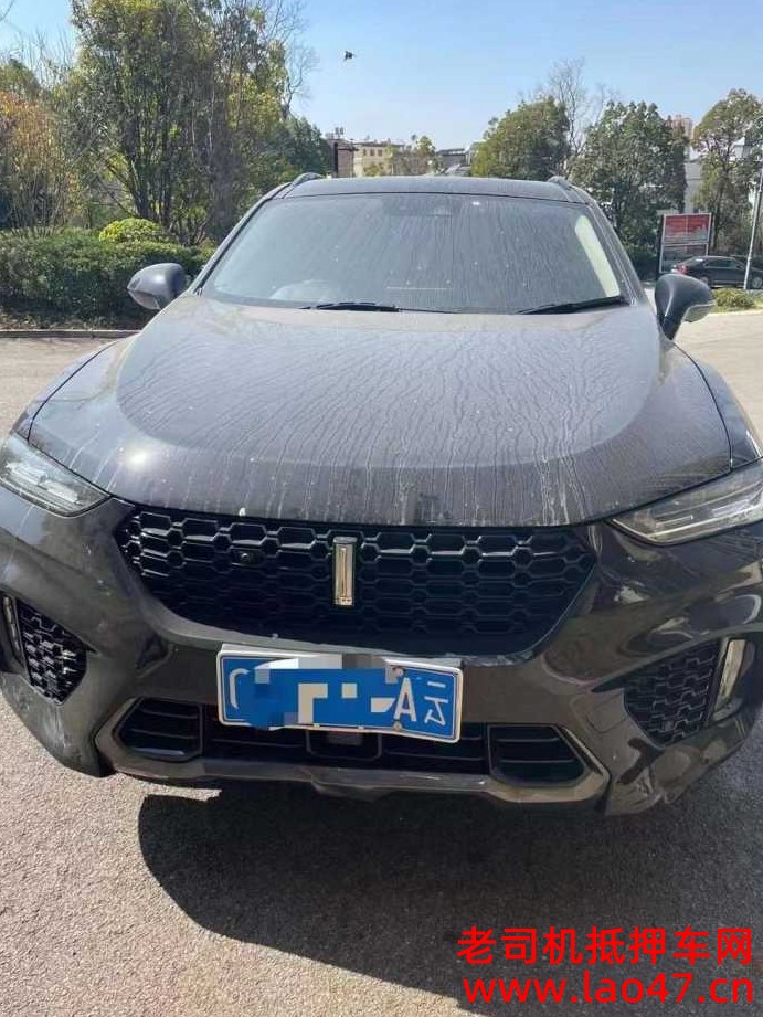 20곤WEY VV7