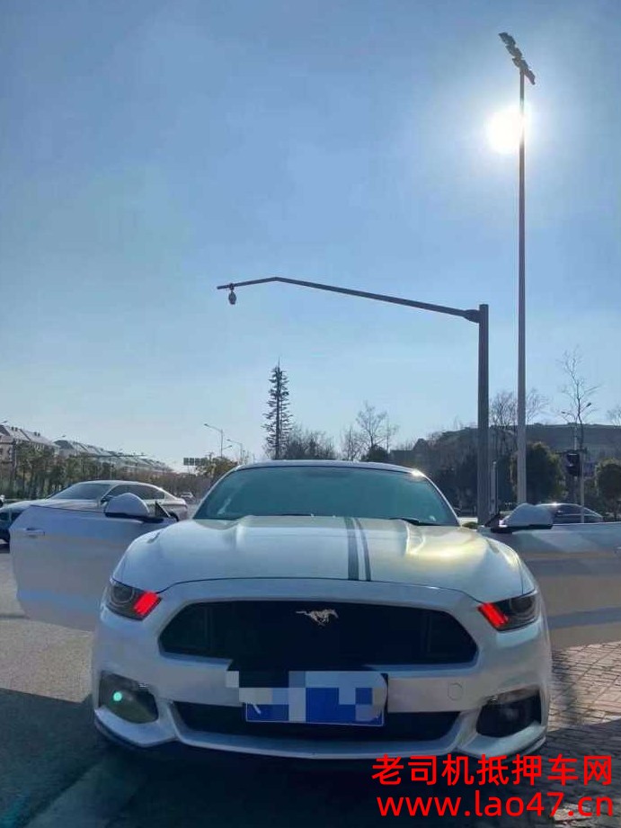 20긣ҰMustang
