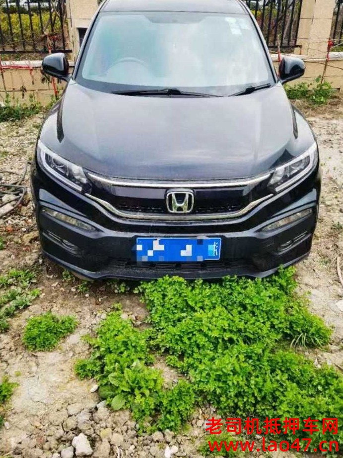 19걾XRV