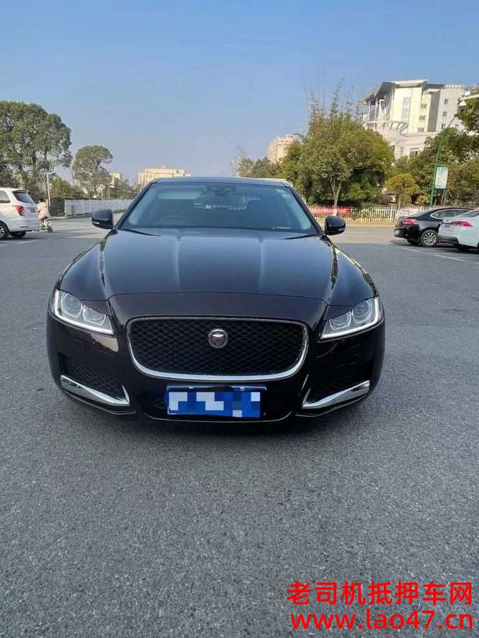 Ž24ݱXFL