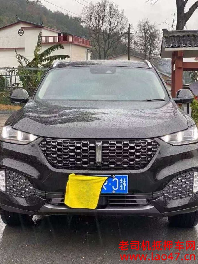 21곤WEY VV6