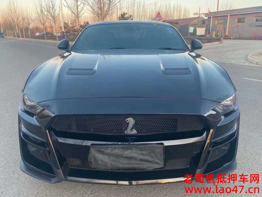 ̨22긣ҰMustang