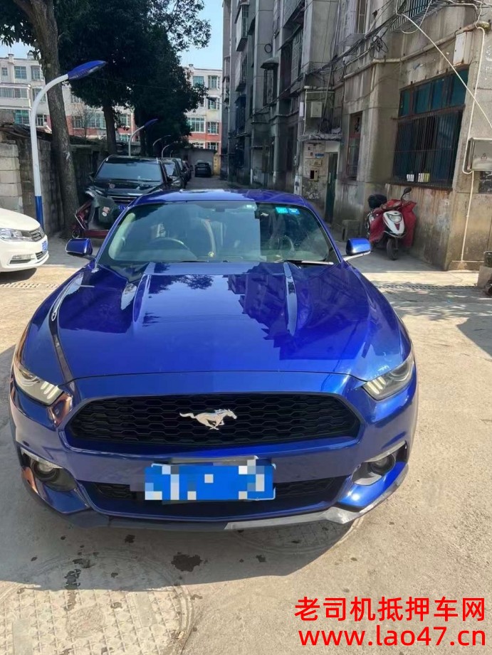 18긣ҰMustang