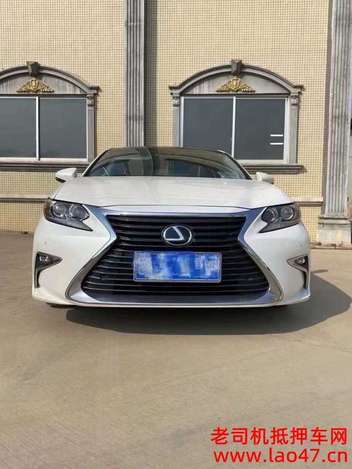 24ѩXL