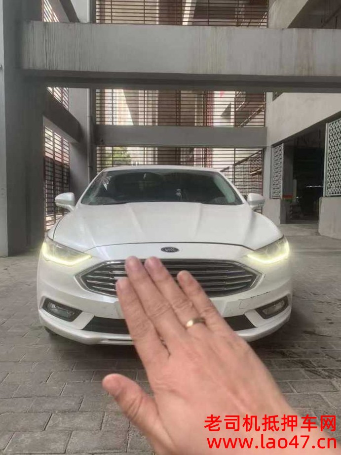 20긣ɵŷ
