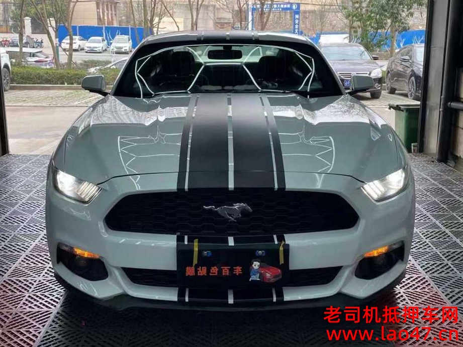 19긣ҰMustang