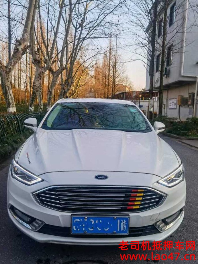 20긣ɵŷ