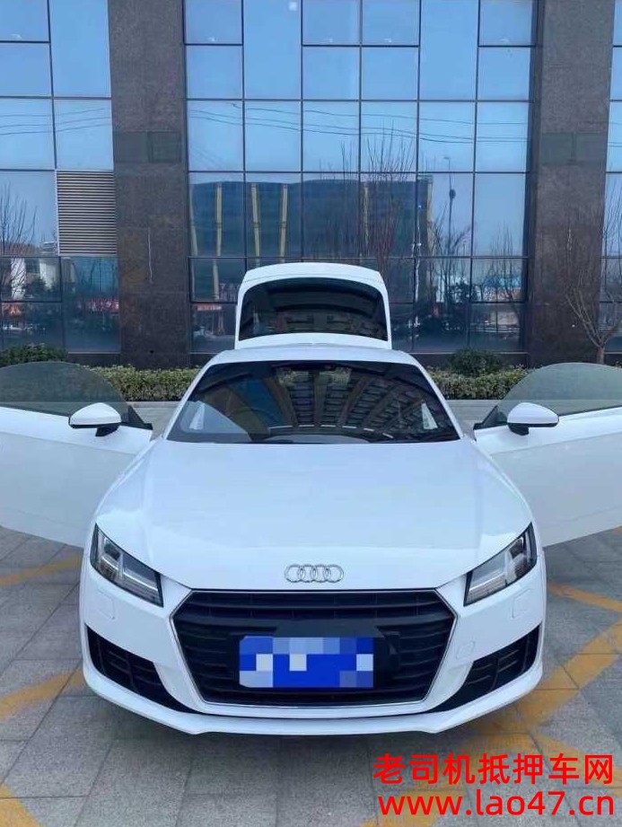 ׯ19µTT