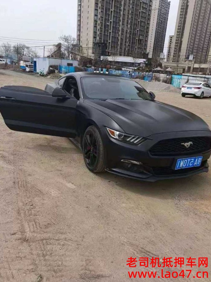 ֣19긣ҰMustang